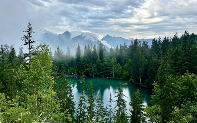 Stage Trail Balcons Chamonix